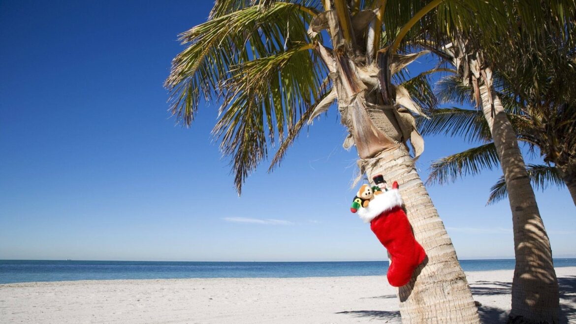 Beach holiday yoga and party