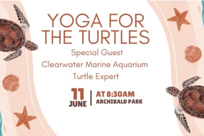 Yoga for the Turtles