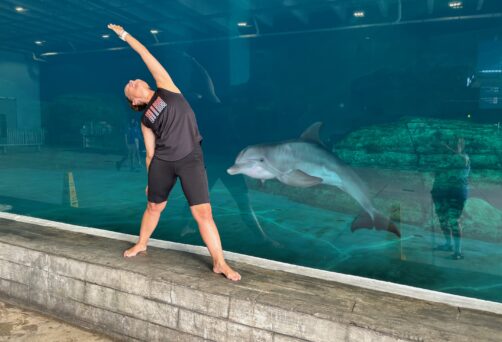 September Dolphin Yoga