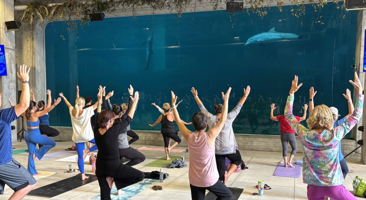 Dolphin Yoga Fundraiser Class