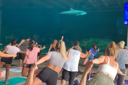April Dolphin Yoga