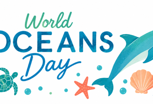 World Oceans Day Beach Yoga